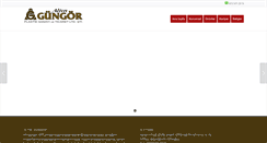 Desktop Screenshot of altingungor.com