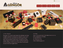 Tablet Screenshot of altingungor.com